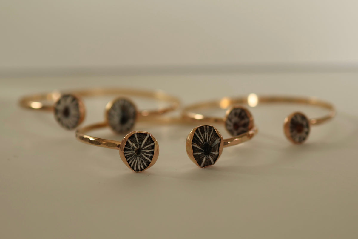 Bezel Collections Ready To ship